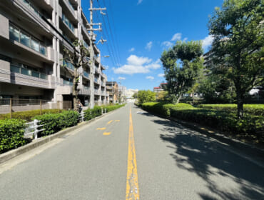 IMG_5864-1 IMG_5864-1