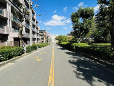 IMG_5865-1 IMG_5865-1