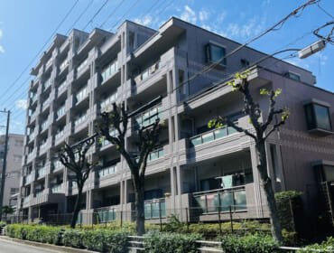 IMG_5867-1 IMG_5867-1