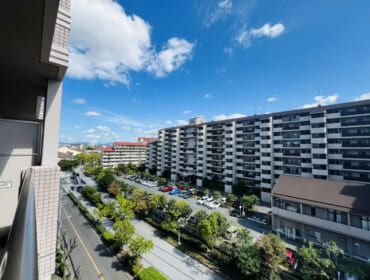 IMG_5885-1 IMG_5885-1