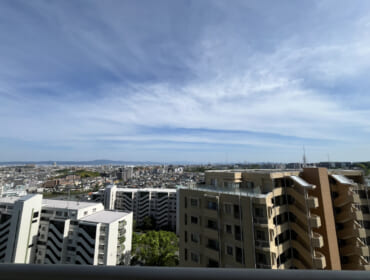 IMG_4954 IMG_4954