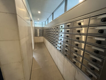 IMG_4973 IMG_4973